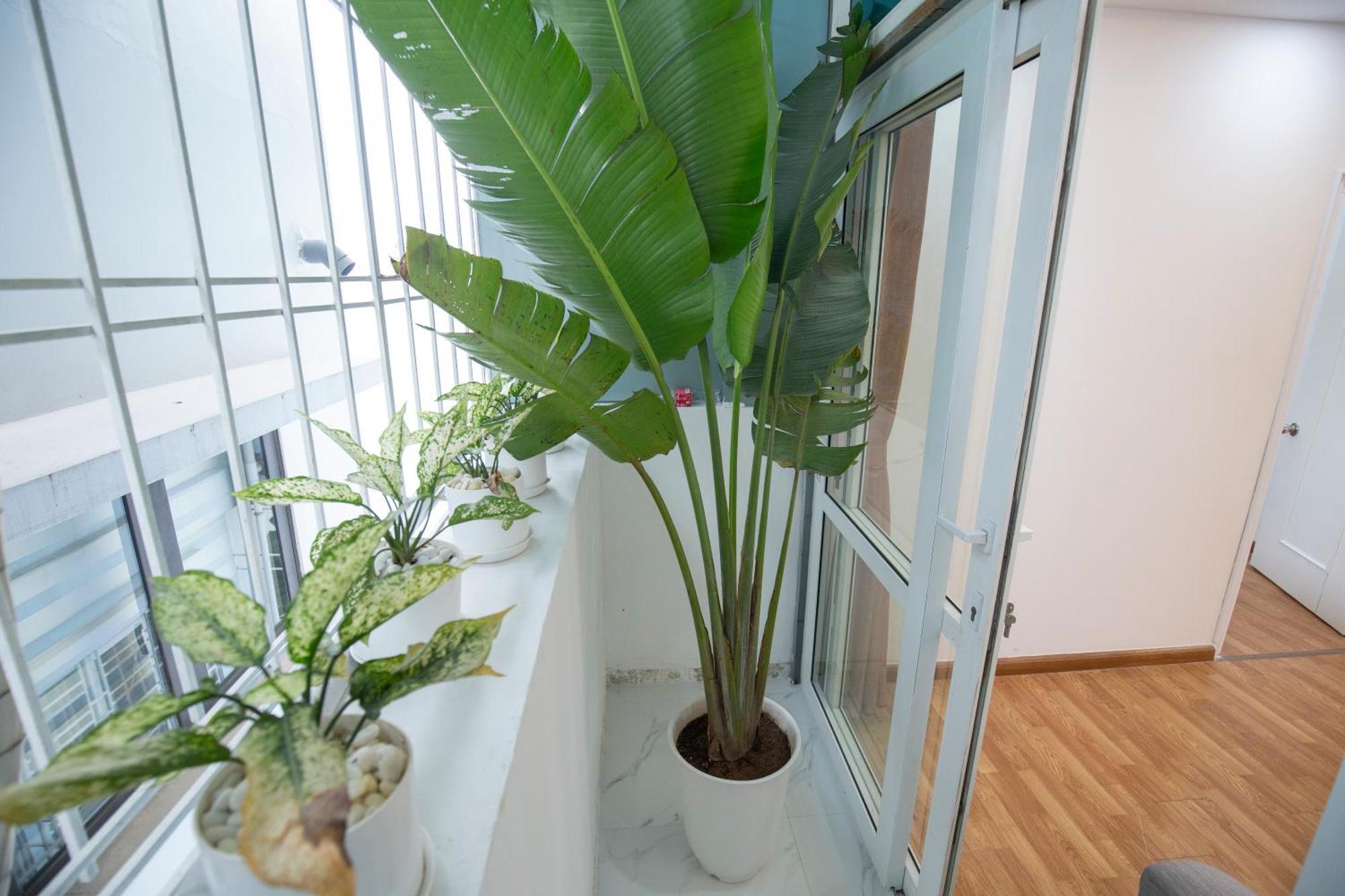 Sumitomo 4 Serviced Apartments & Breakfast Hanoi Kültér fotó